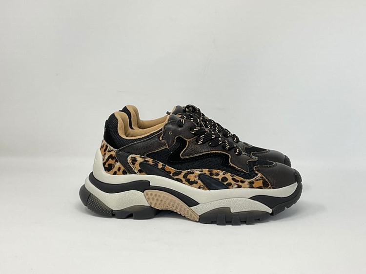 F24-ADDICT04 - ASH Sneaker maculato