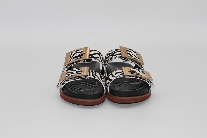 PRIMULA 05 ZEB - LORENZO MARI Birke zebra - immagine 3