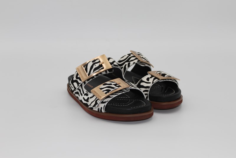 PRIMULA 05 ZEB - LORENZO MARI Birke zebra - immagine 2